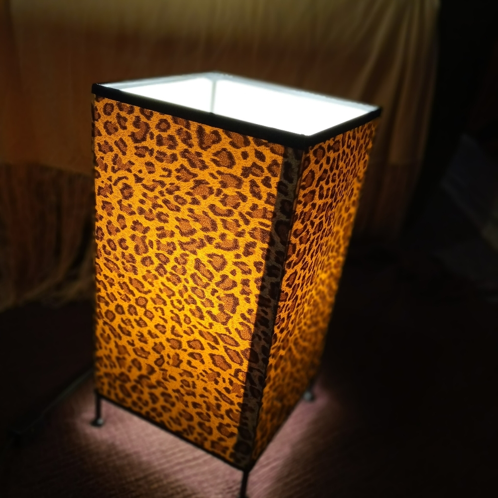 Decor Lamp - Picture 4 of 5